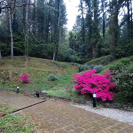 Il Bosco Di Campo Marzano Studios Borzonasca 外观 照片