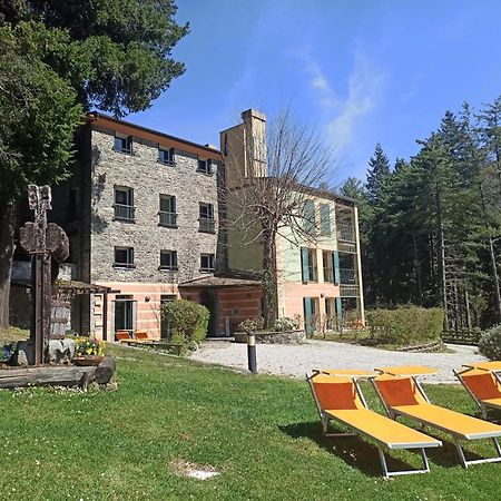 Il Bosco Di Campo Marzano Studios Borzonasca 外观 照片
