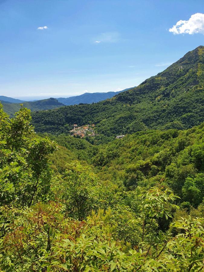 Il Bosco Di Campo Marzano Studios Borzonasca 外观 照片
