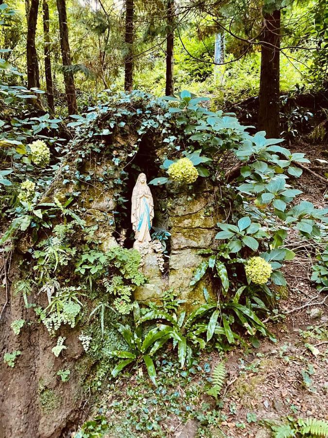 Il Bosco Di Campo Marzano Studios Borzonasca 外观 照片