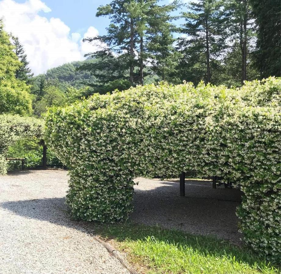 Il Bosco Di Campo Marzano Studios Borzonasca 外观 照片