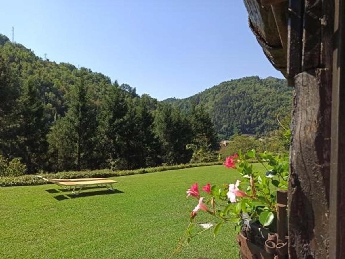 Il Bosco Di Campo Marzano Studios Borzonasca 外观 照片