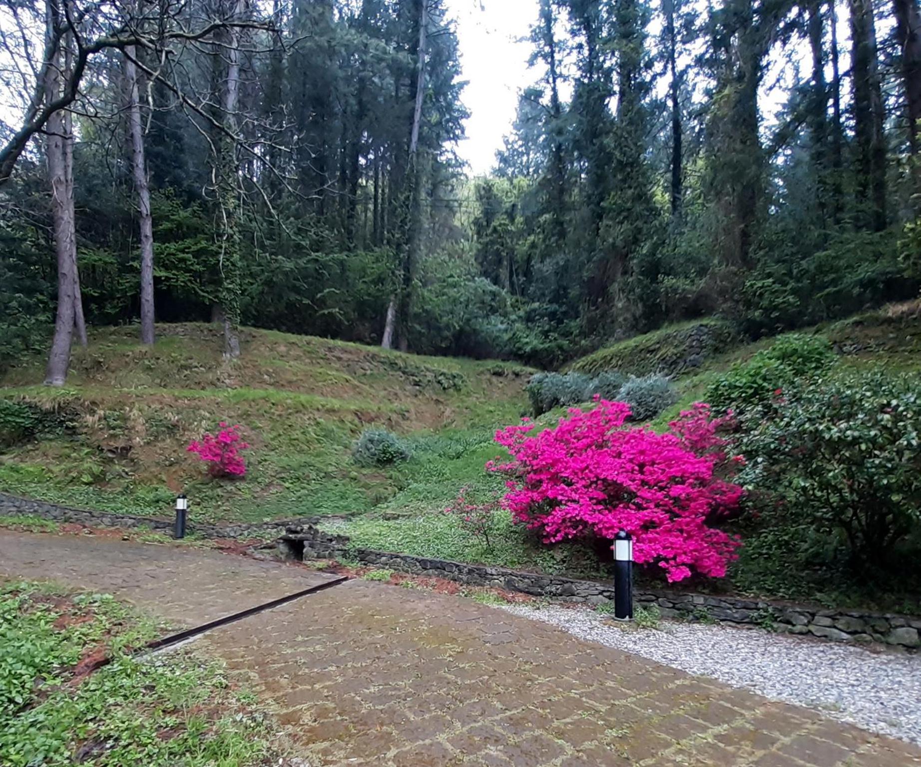 Il Bosco Di Campo Marzano Studios Borzonasca 外观 照片