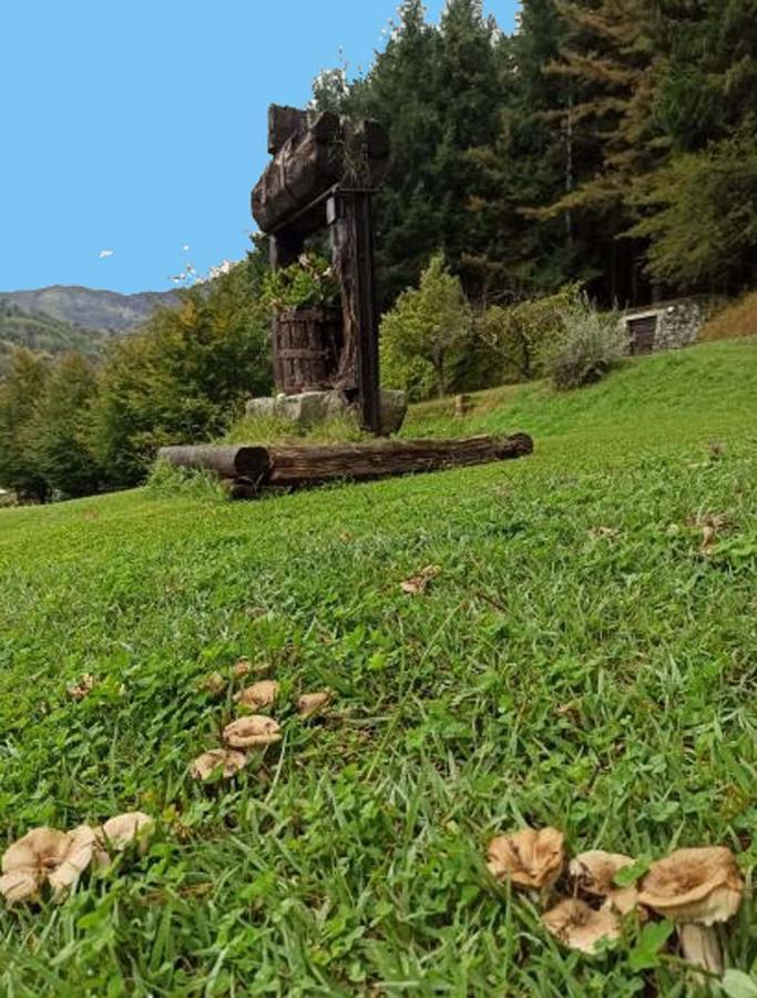 Il Bosco Di Campo Marzano Studios Borzonasca 外观 照片