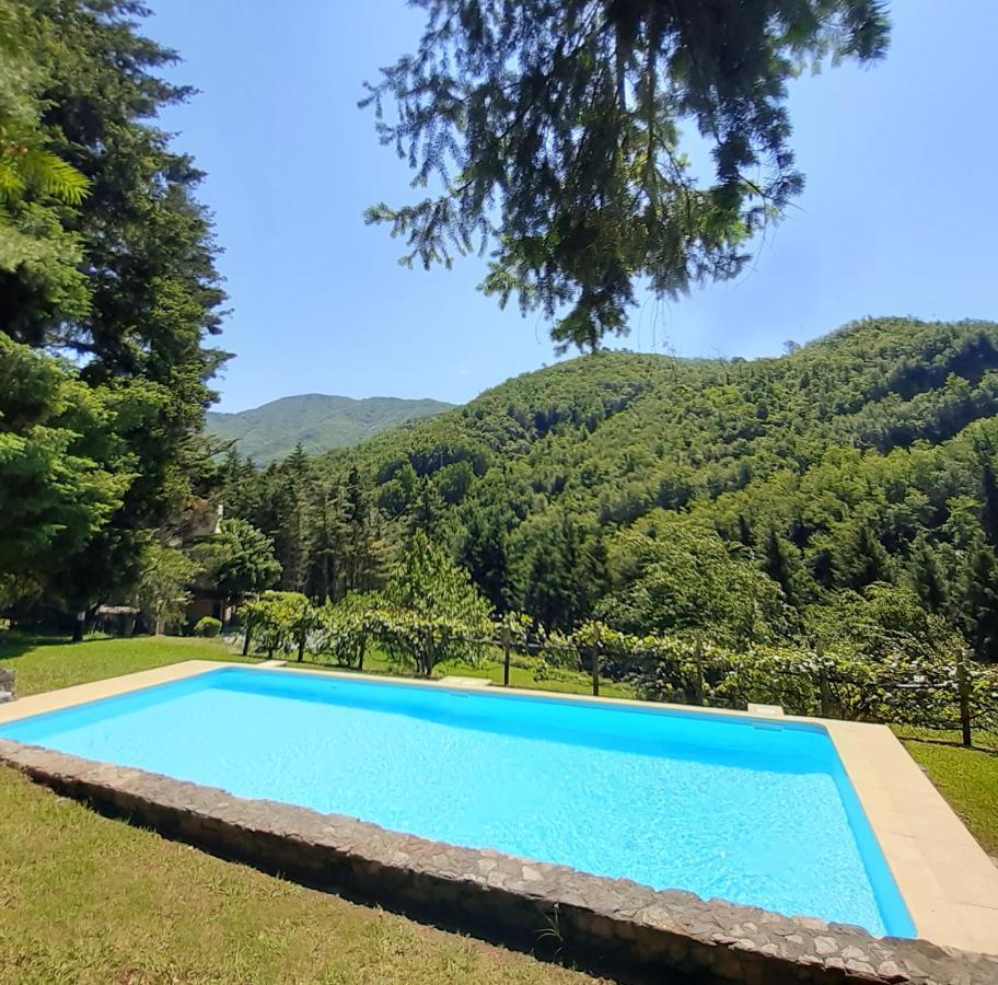 Il Bosco Di Campo Marzano Studios Borzonasca 外观 照片