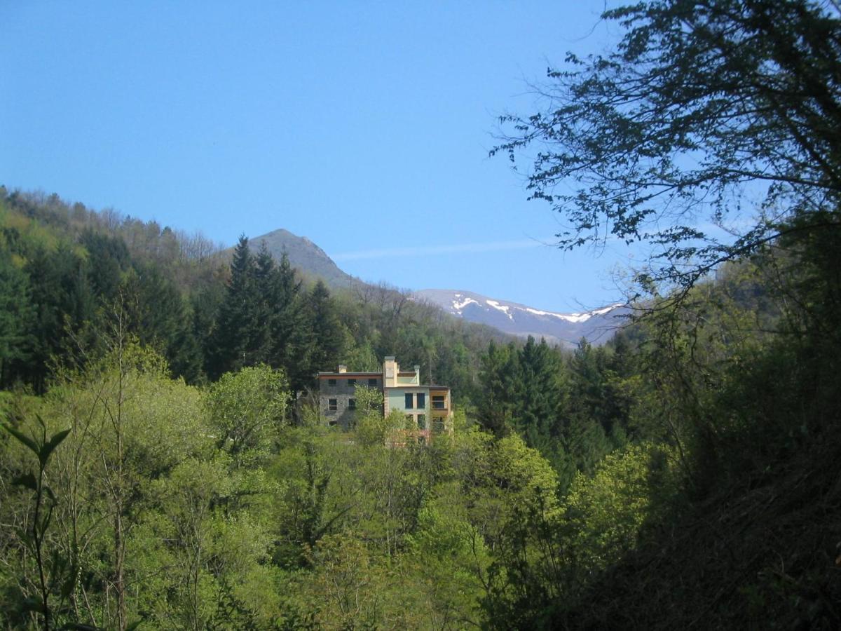 Il Bosco Di Campo Marzano Studios Borzonasca 外观 照片