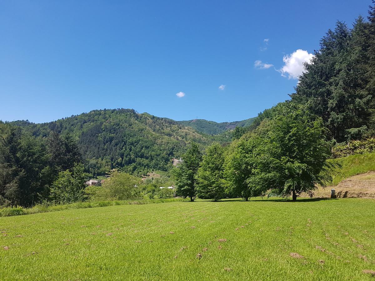 Il Bosco Di Campo Marzano Studios Borzonasca 外观 照片