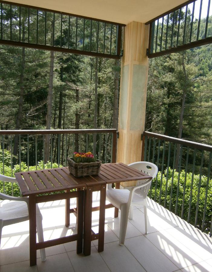 Il Bosco Di Campo Marzano Studios Borzonasca 外观 照片