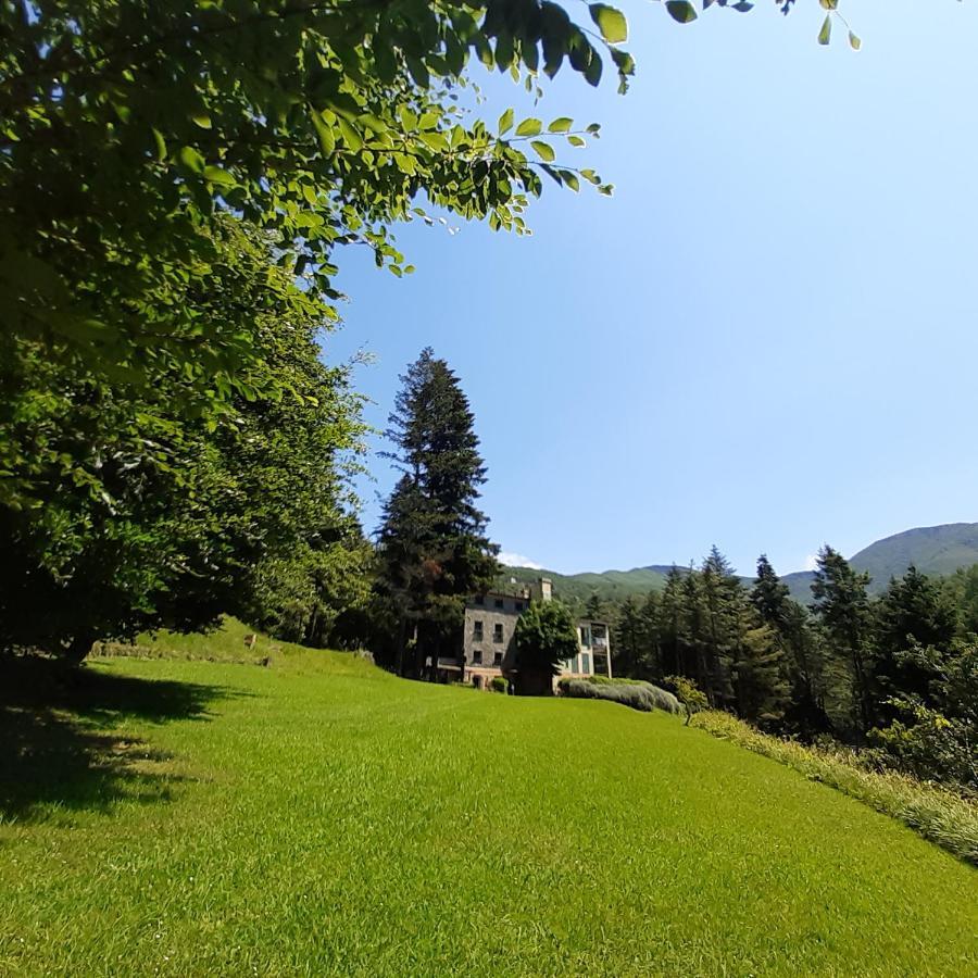 Il Bosco Di Campo Marzano Studios Borzonasca 外观 照片