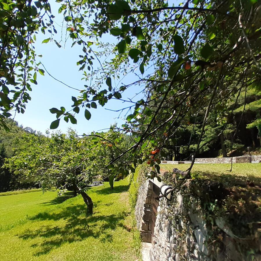 Il Bosco Di Campo Marzano Studios Borzonasca 外观 照片
