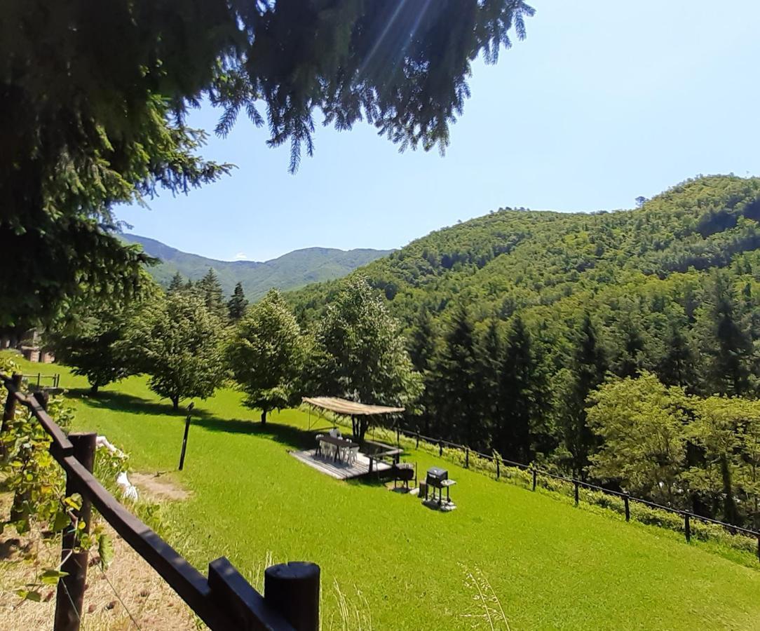 Il Bosco Di Campo Marzano Studios Borzonasca 外观 照片